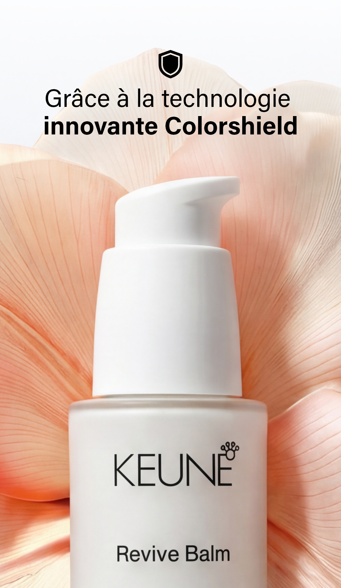 Kit Silver Blonde | Soins capillaires pro pour blond froid